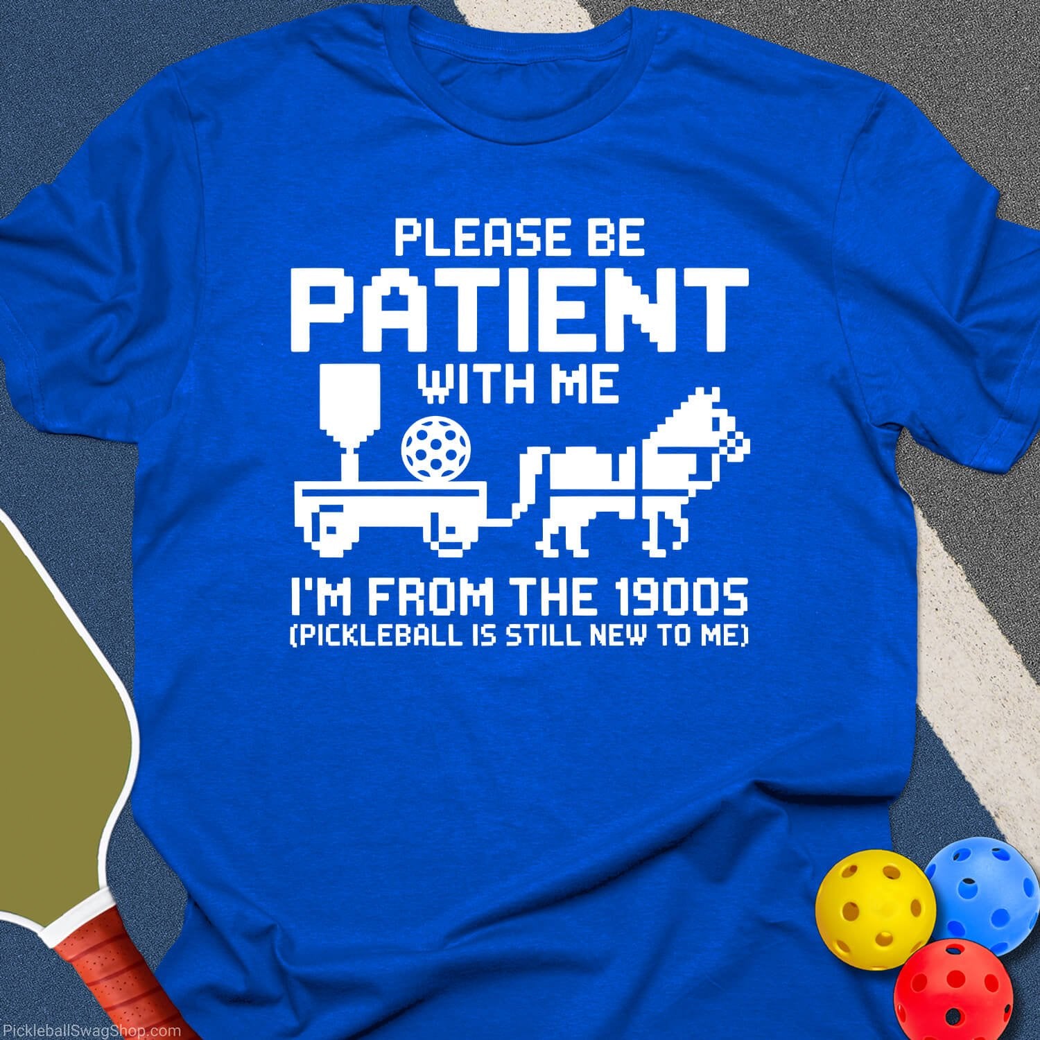 Pickleball From The 1900s T-Shirt
